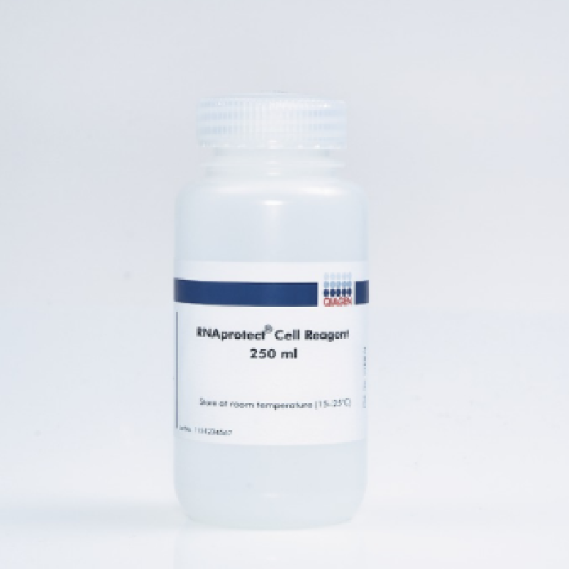 细胞RNA稳定试剂 Qiagen 76526