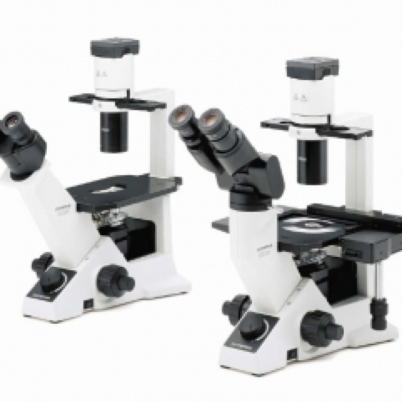 生物显微镜Biological Microscope CKX31  奥林巴斯 OLYMPUS