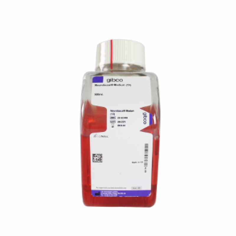 Neurobasal Medium  LIFE  21103-049