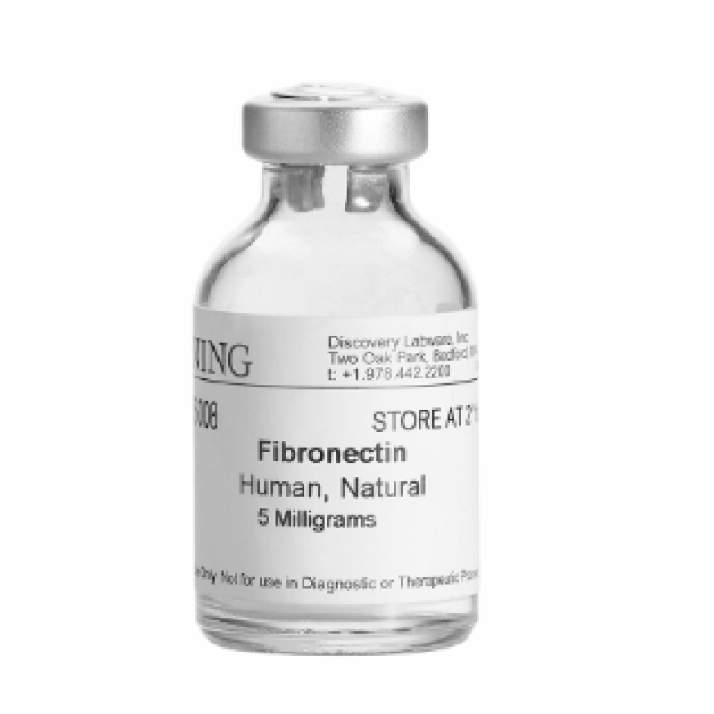 人纤维连接蛋白, Fibronectin, Human  BD Biocoat 356008