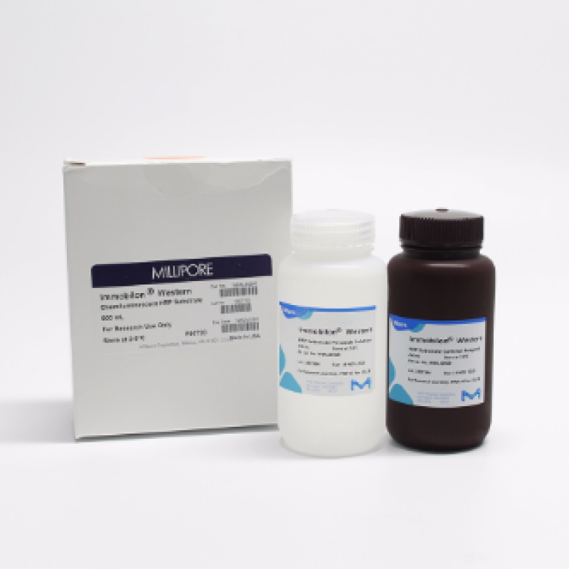 WBKLS0500 底物显色试剂  MerckMillipore