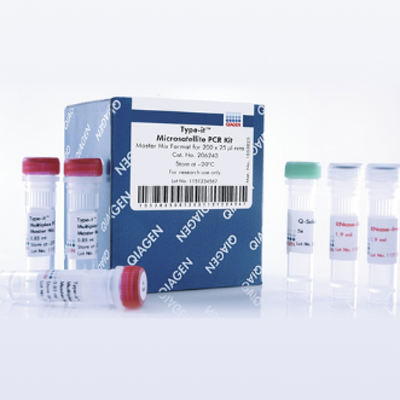 Type-it Microsatellite PCR Kit (200)  QIAGEN 206243