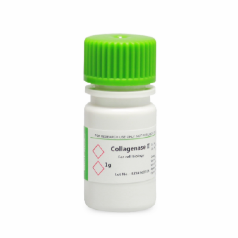 胶原酶II型Collagenase II 2-8度  BioFroxx 2275GR001