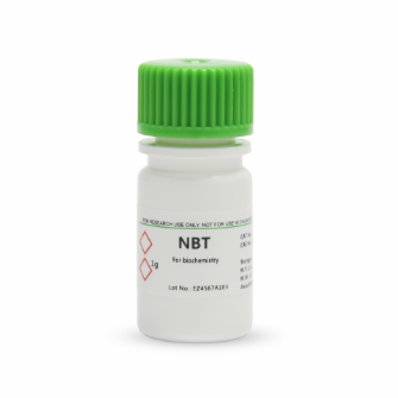 氯化硝基四氮唑兰 NBT  BioFroxx 1267GR001