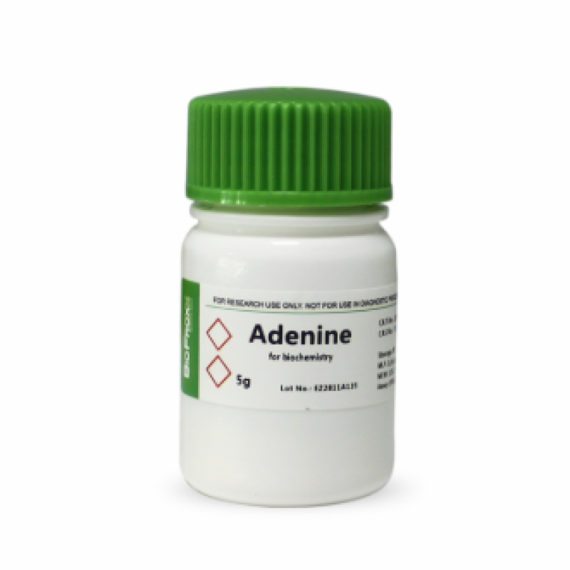 腺嘌呤 Adenine  BioFroxx 1163GR005