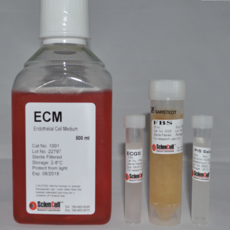 ScienCell 内皮细胞培养基 ECM 1001 Endothelial Cell Mediu