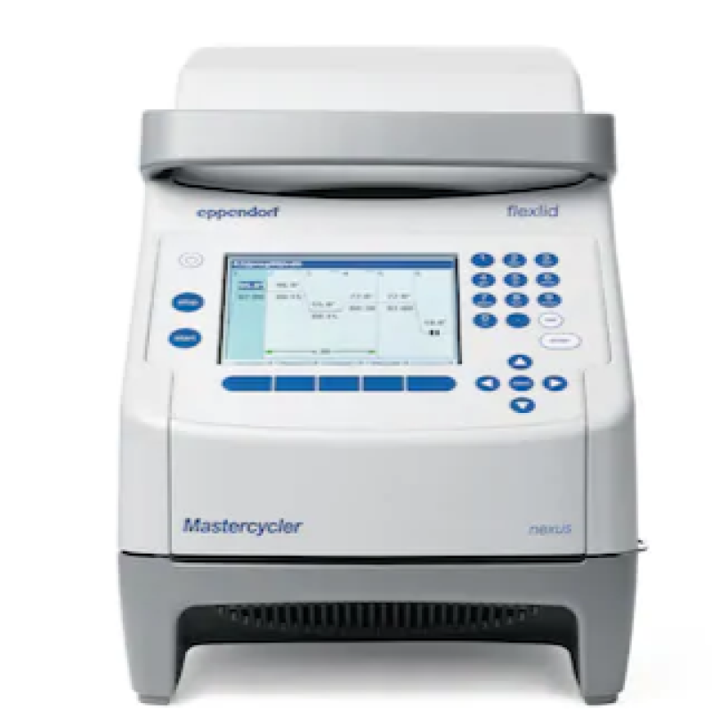 Eppendorf  Mastercycler nexus  梯度PCR仪