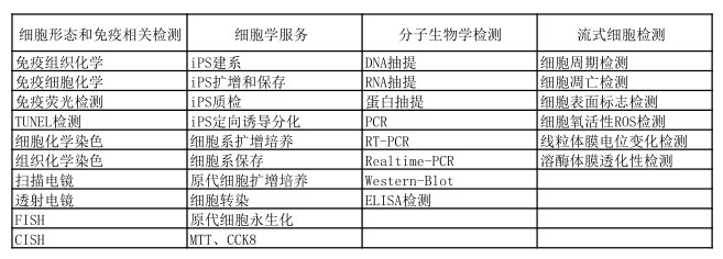 细胞凋亡检测