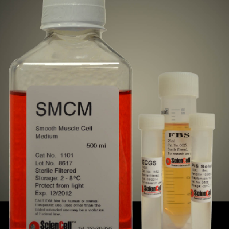 平滑肌细胞培养基   Sciencell  SMCM 1101