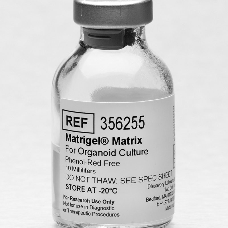 Corning® Matrigel® 类器官培养基质胶，不含酚红，不含LDEV，10 mL